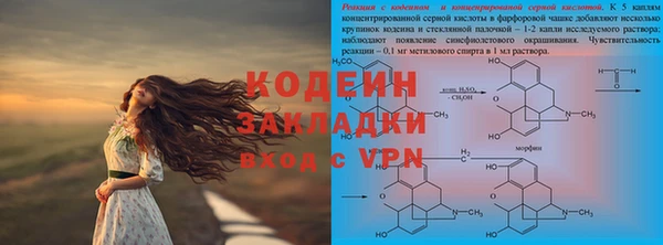 прущие грибы Новозыбков