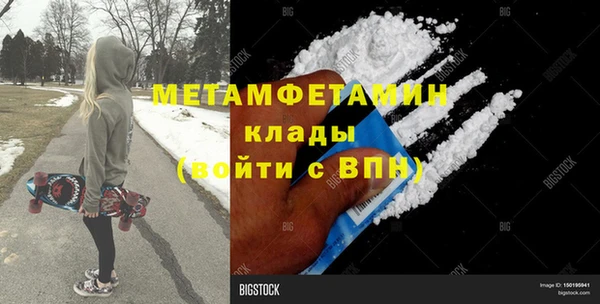прущие грибы Новозыбков