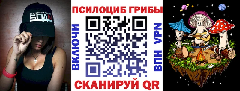 Псилоцибиновые грибы Psilocybine cubensis  наркотики  Родники 